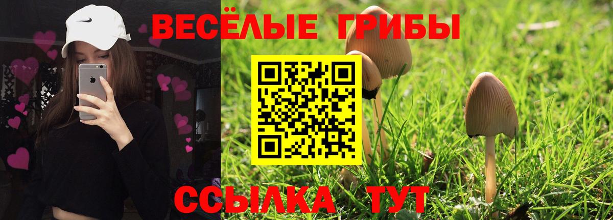 Псилоцибиновые грибы мухоморы  Вход с VPN  Владивосток 